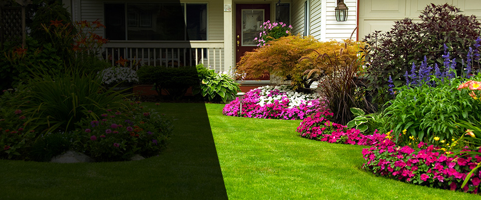 Pawtucket Landscapers