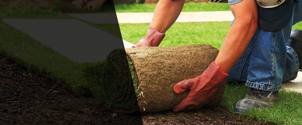 Pawtucket Landscapers